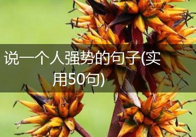 说一个人强势的句子(实用50句)