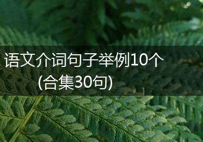 语文介词句子举例10个(合集30句)