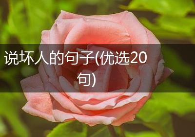说坏人的句子(优选20句)