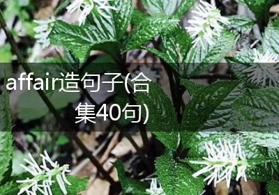 affair造句子(合集40句)