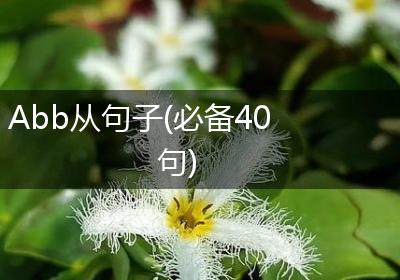 Abb从句子(必备40句)
