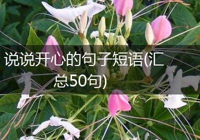 说说开心的句子短语(汇总50句)