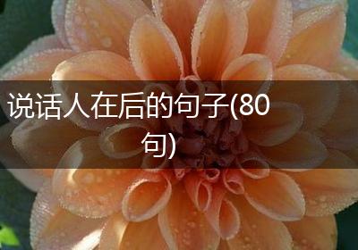 说话人在后的句子(80句)