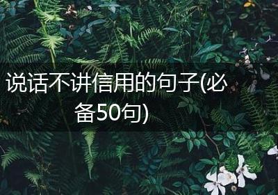 说话不讲信用的句子(必备50句)