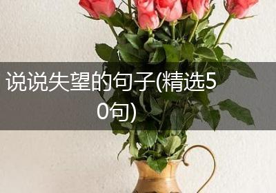说说失望的句子(精选50句)