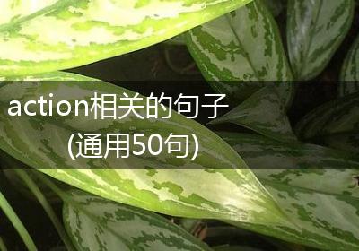 action相关的句子(通用50句)