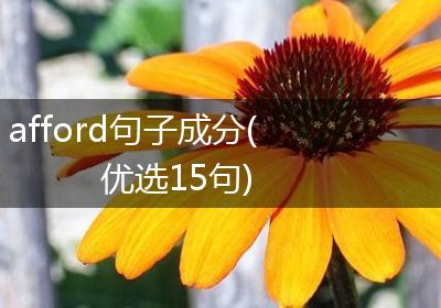 afford句子成分(优选15句)