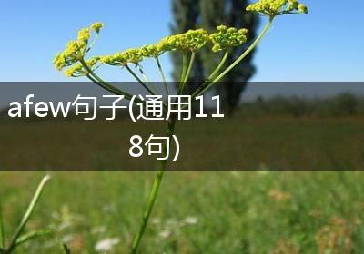afew句子(通用118句)