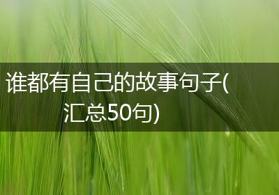 谁都有自己的故事句子(汇总50句)