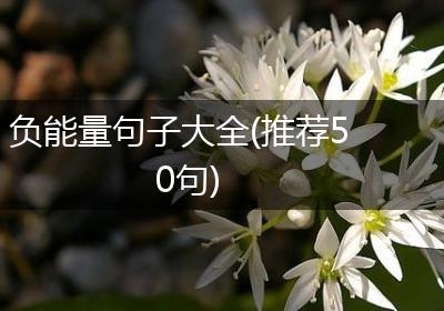 负能量句子大全(推荐50句)