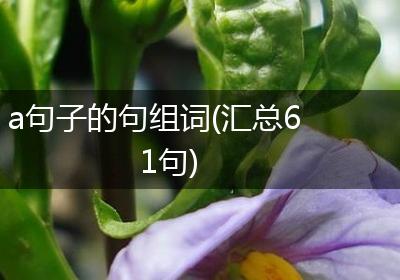 a句子的句组词(汇总61句)