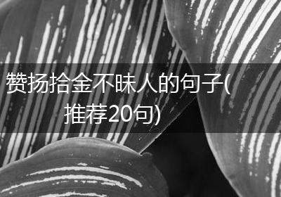 赞扬拾金不昧人的句子(推荐20句)