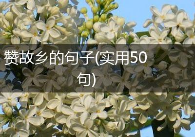 赞故乡的句子(实用50句)