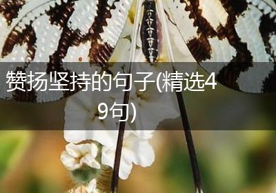 赞扬坚持的句子(精选49句)