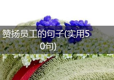 赞扬员工的句子(实用50句)