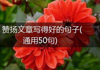 赞扬文章写得好的句子(通用50句)