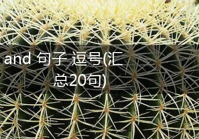 and 句子 逗号(汇总20句)