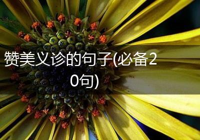 赞美义诊的句子(必备20句)