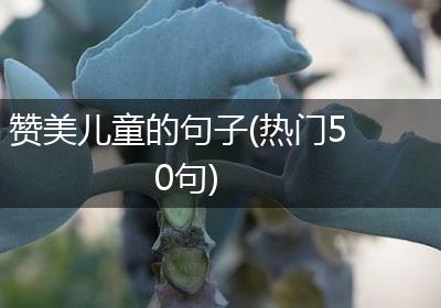 赞美儿童的句子(热门50句)