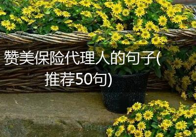 赞美保险代理人的句子(推荐50句)