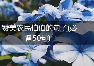 赞美农民伯伯的句子(必备50句)