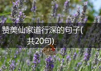 赞美仙家道行深的句子(共20句)