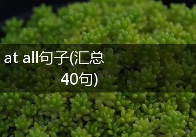 at all句子(汇总40句)