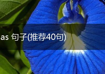 as 句子(推荐40句)