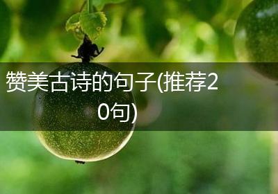 赞美古诗的句子(推荐20句)