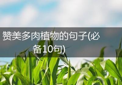 赞美多肉植物的句子(必备10句)