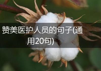 赞美医护人员的句子(通用20句)
