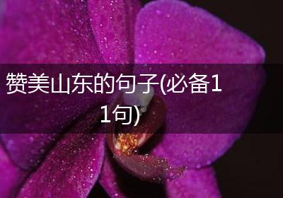 赞美山东的句子(必备11句)