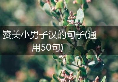 赞美小男子汉的句子(通用50句)