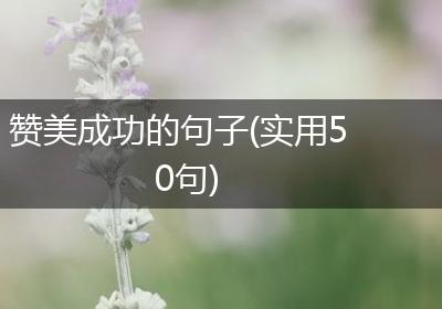 赞美成功的句子(实用50句)