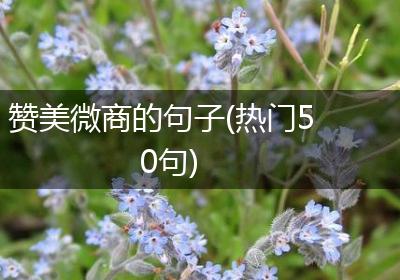 赞美微商的句子(热门50句)