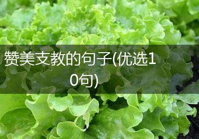 赞美支教的句子(优选10句)