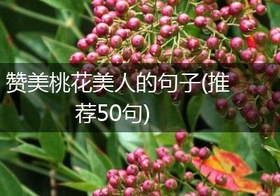 赞美桃花美人的句子(推荐50句)