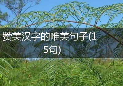 赞美汉字的唯美句子(15句)