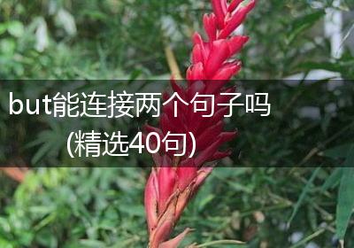 but能连接两个句子吗(精选40句)