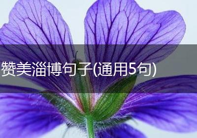 赞美淄博句子(通用5句)