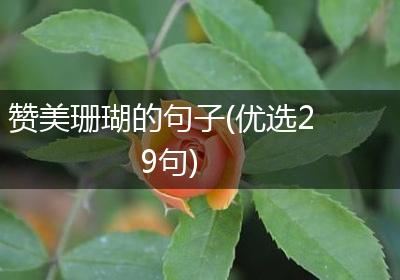 赞美珊瑚的句子(优选29句)