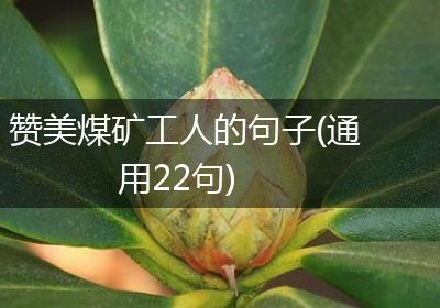 赞美煤矿工人的句子(通用22句)