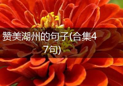 赞美湖州的句子(合集47句)