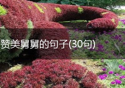 赞美舅舅的句子(30句)