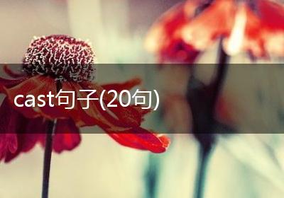 cast句子(20句)