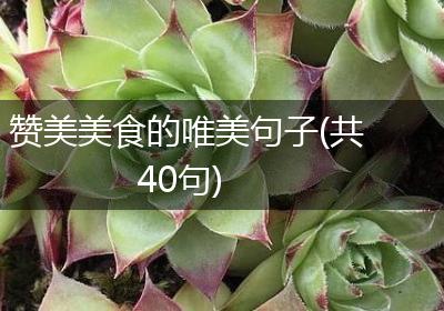 赞美美食的唯美句子(共40句)