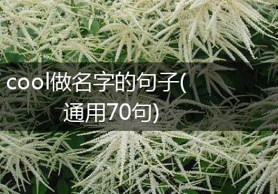 cool做名字的句子(通用70句)