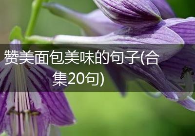 赞美面包美味的句子(合集20句)