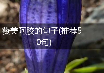赞美阿胶的句子(推荐50句)