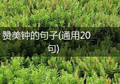 赞美钟的句子(通用20句)